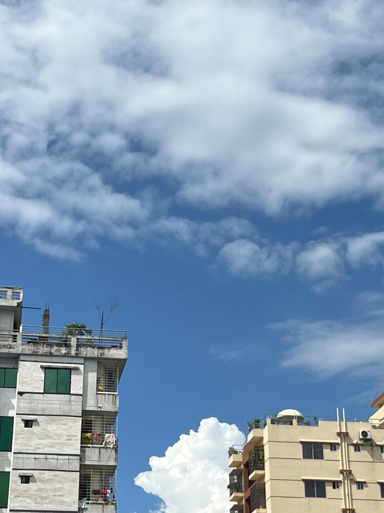 IMG_6326.jpeg