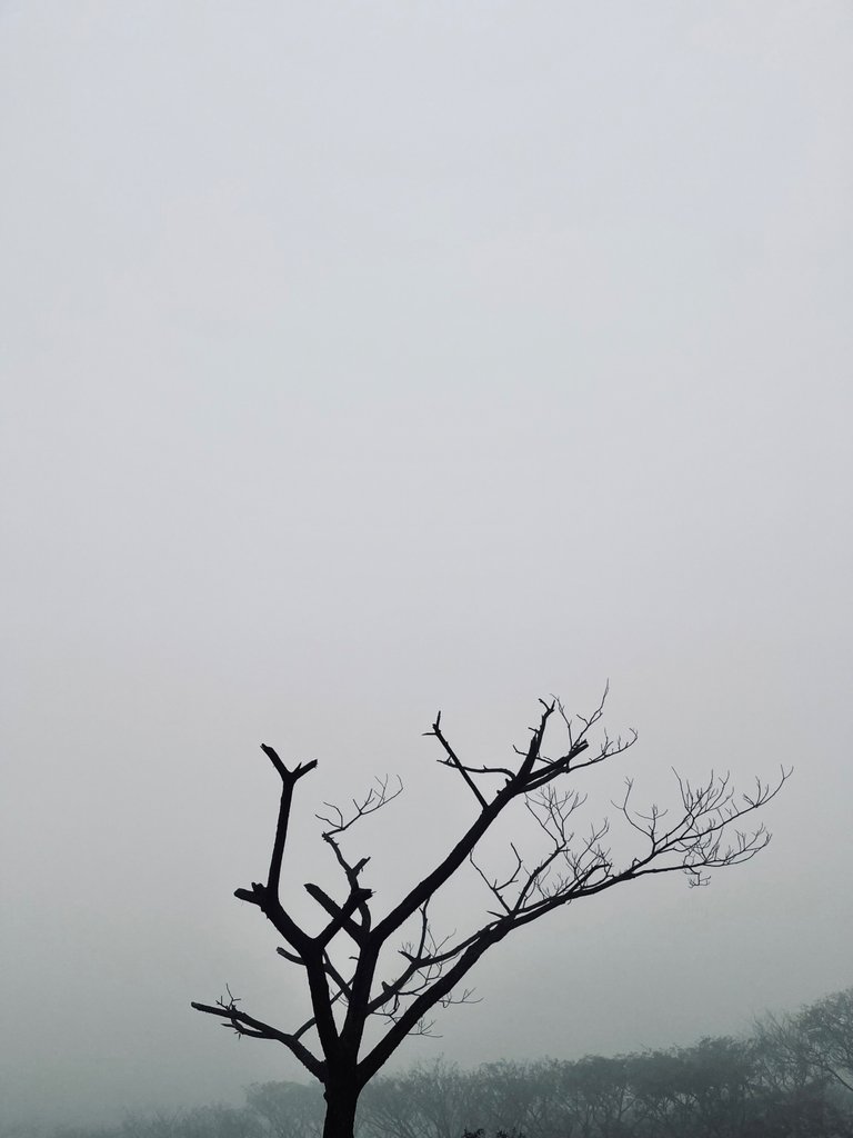 IMG_1671.jpeg