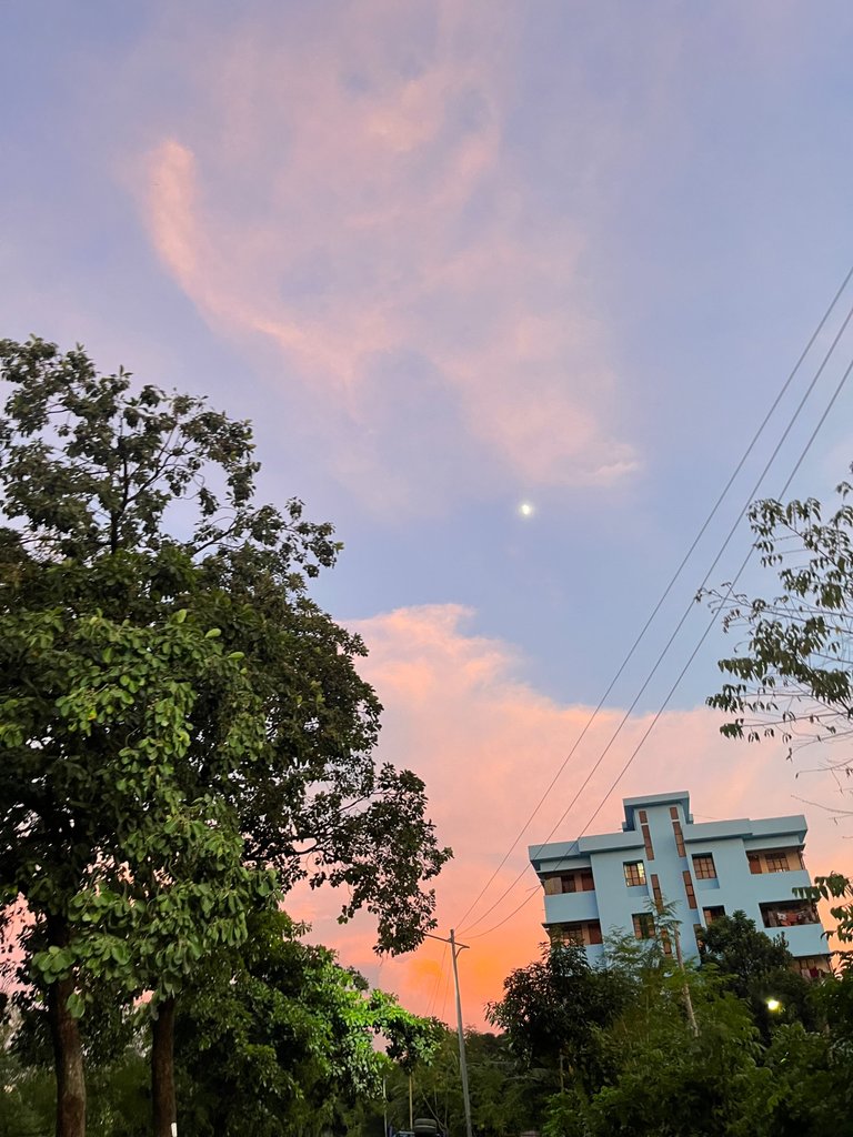 IMG_6199.jpeg