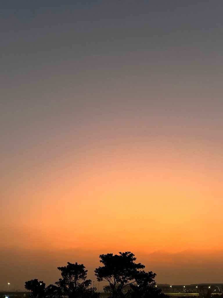 IMG_7507_Original.jpeg