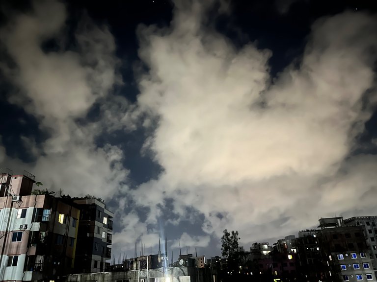 IMG_5984.jpeg