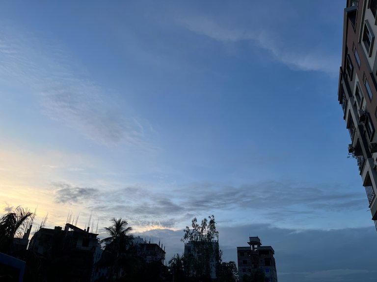 IMG_9867.jpeg