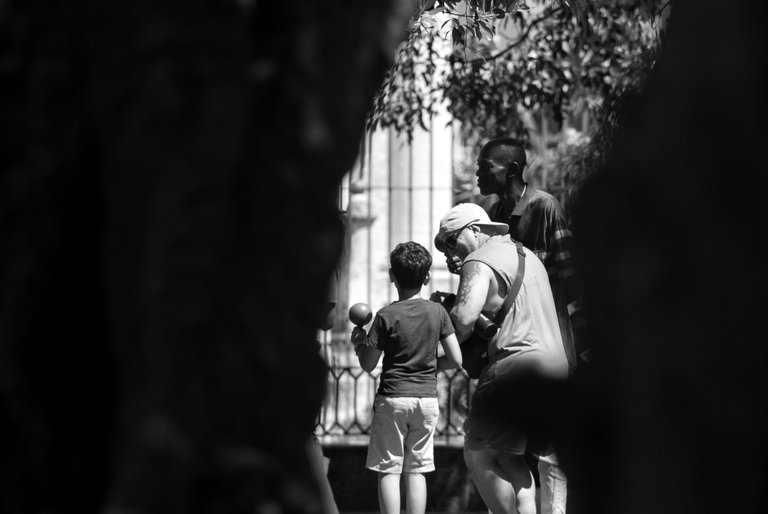 _DSC7730-NEF_DxO_PRIME.jpg