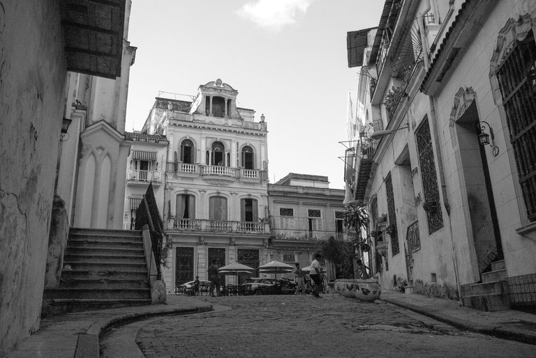 _DSC0165.jpg