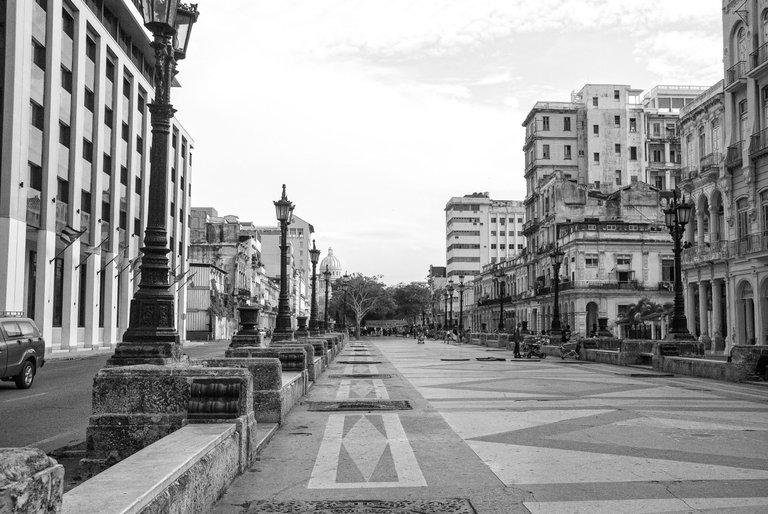 _DSC0810.jpg
