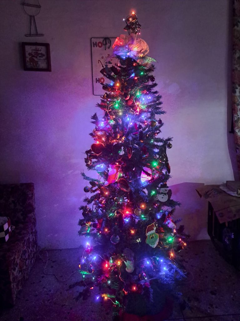 WhatsApp Image 2025-12-03 at 10.22.05 PM.jpeg