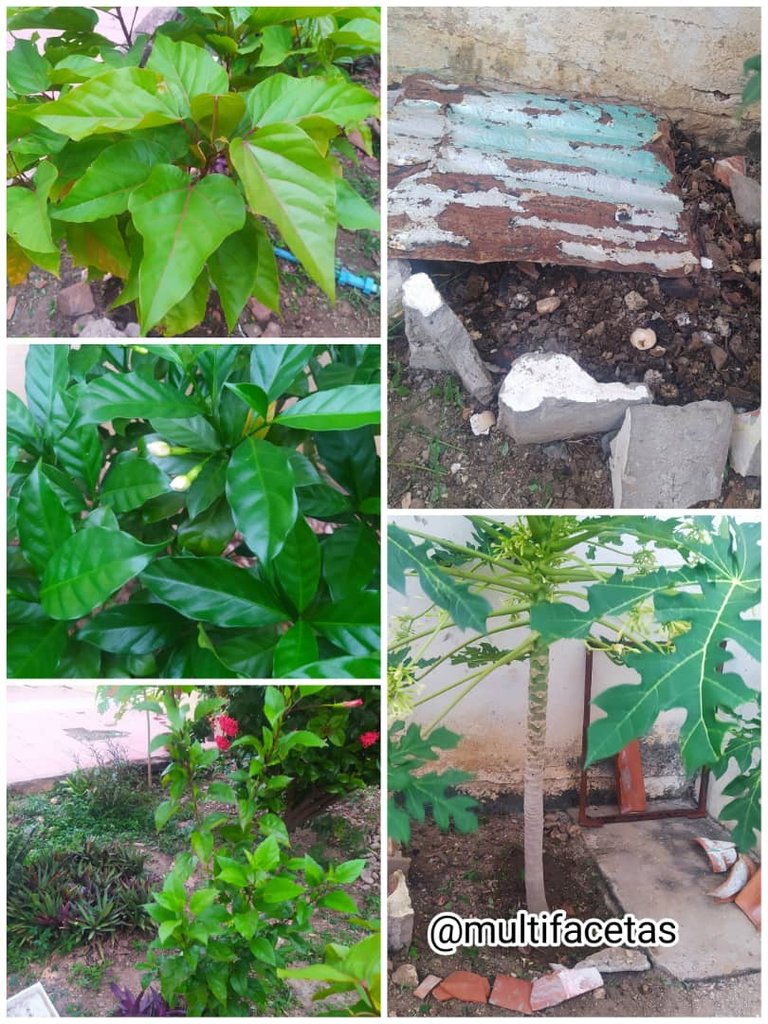 WhatsApp Image 2025-11-10 at 9.39.05 PM.jpeg