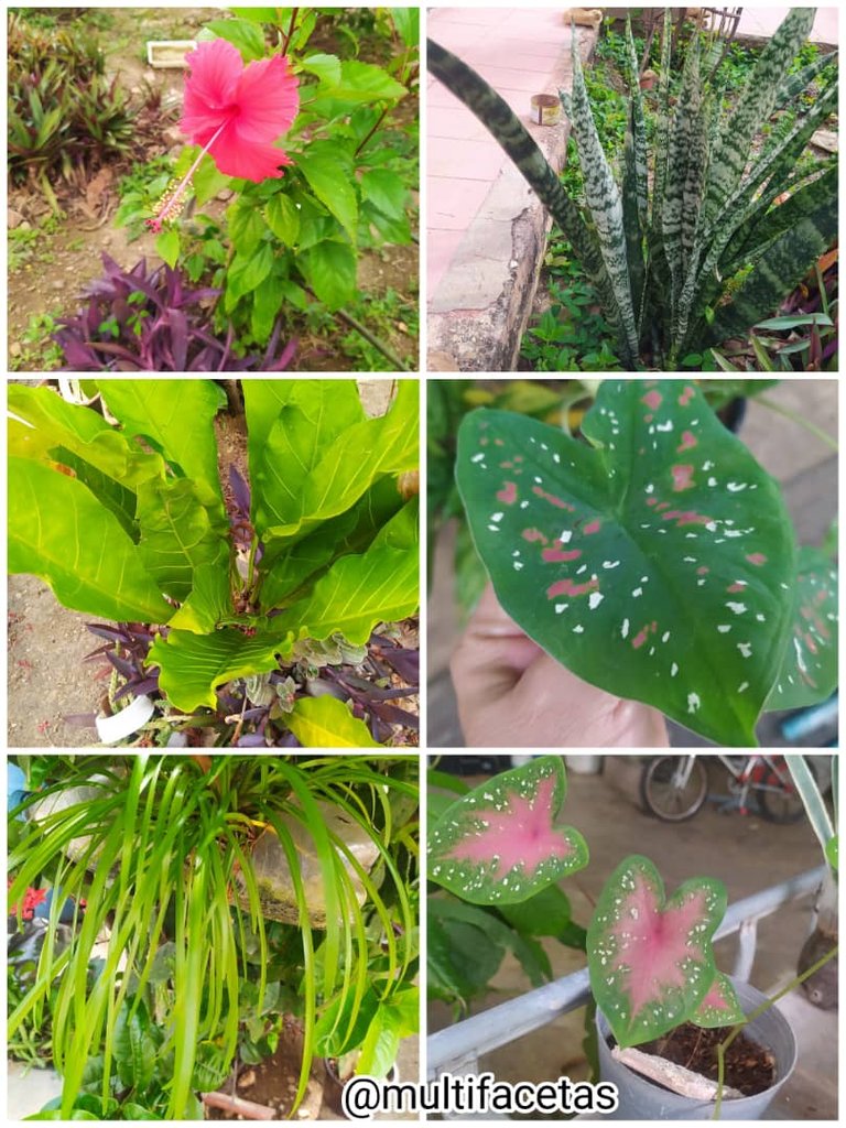 WhatsApp Image 2025-10-25 at 9.42.01 AM.jpeg