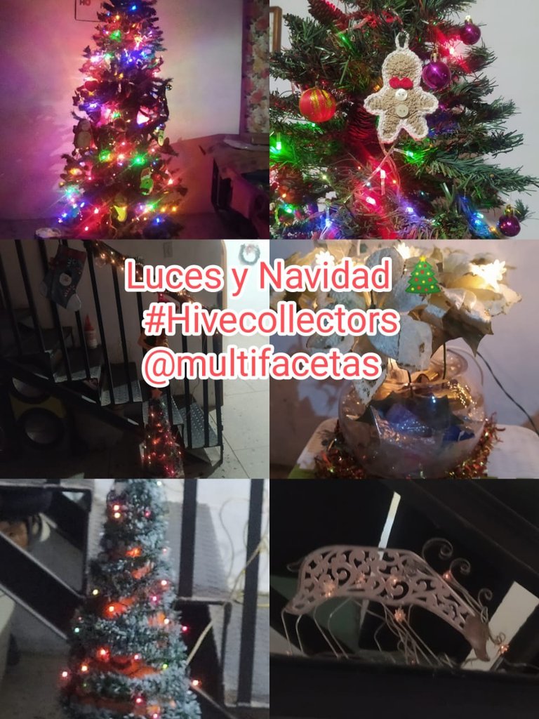 WhatsApp Image 2025-12-11 at 5.34.17 PM.jpeg