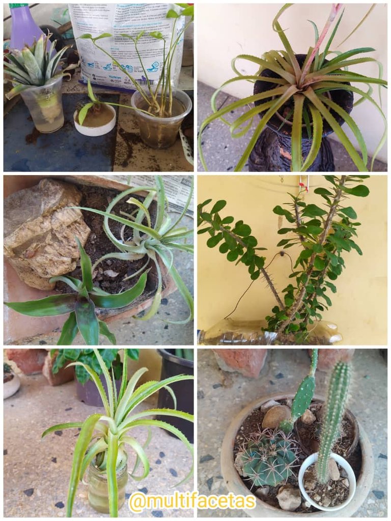 WhatsApp Image 2025-11-11 at 10.06.18 AM.jpeg