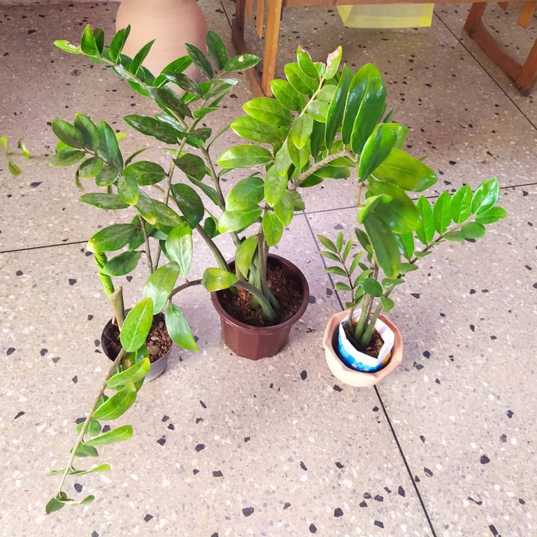 WhatsApp Image 2025-11-06 at 10.40.15 AM.jpeg