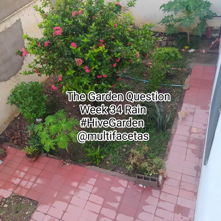 WhatsApp Image 2025-11-08 at 9.52.28 PM.jpeg