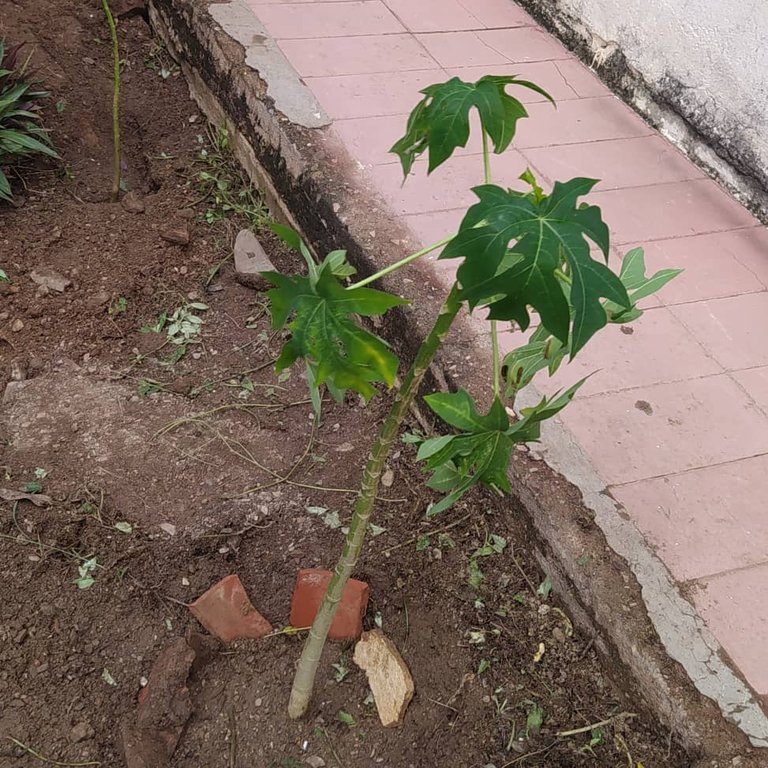 WhatsApp Image 2025-04-16 at 4.49.15 PM.jpeg