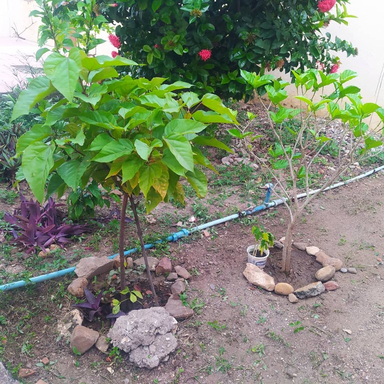 WhatsApp Image 2025-11-10 at 9.41.01 PM.jpeg