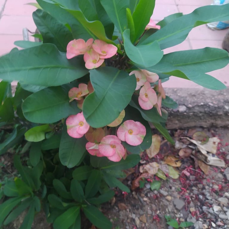 WhatsApp Image 2025-11-10 at 9.41.00 PM.jpeg