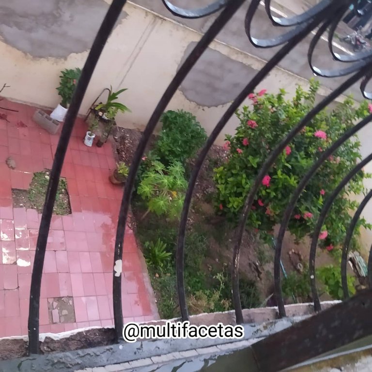 WhatsApp Image 2025-11-13 at 10.32.06 AM.jpeg