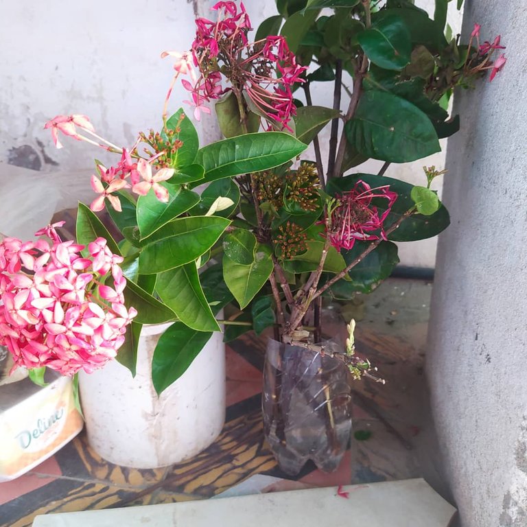 WhatsApp Image 2025-02-16 at 4.17.15 PM.jpeg