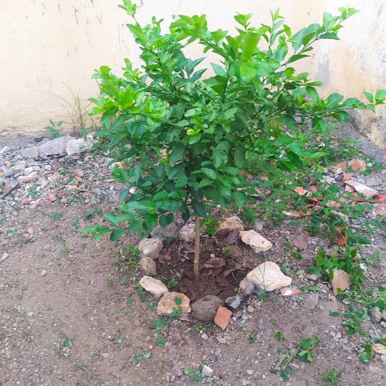 WhatsApp Image 2025-11-10 at 9.41.00 PM (2).jpeg