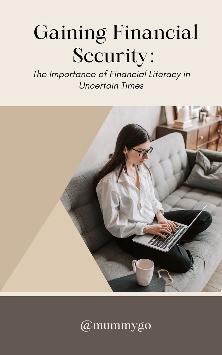 Professional Financial Literacy Book Cover.jpg