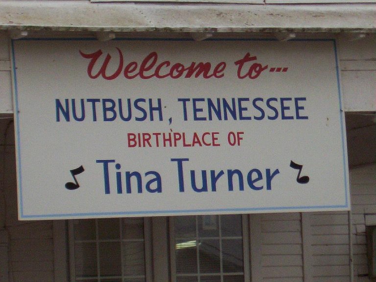 Nutbush_tennessee_sign_tina_turner.jpg