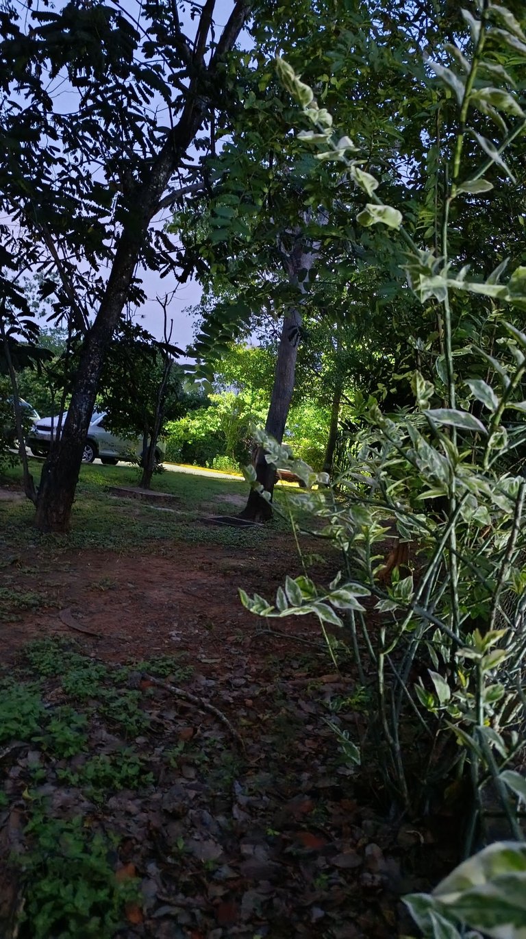 1000152274.jpg