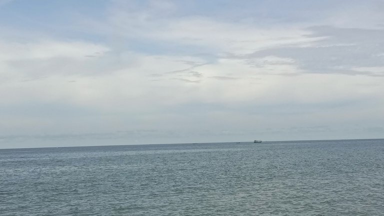 IMG_20221101_151922.jpg