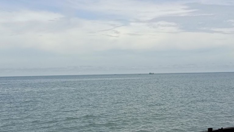 IMG_20221101_151920.jpg
