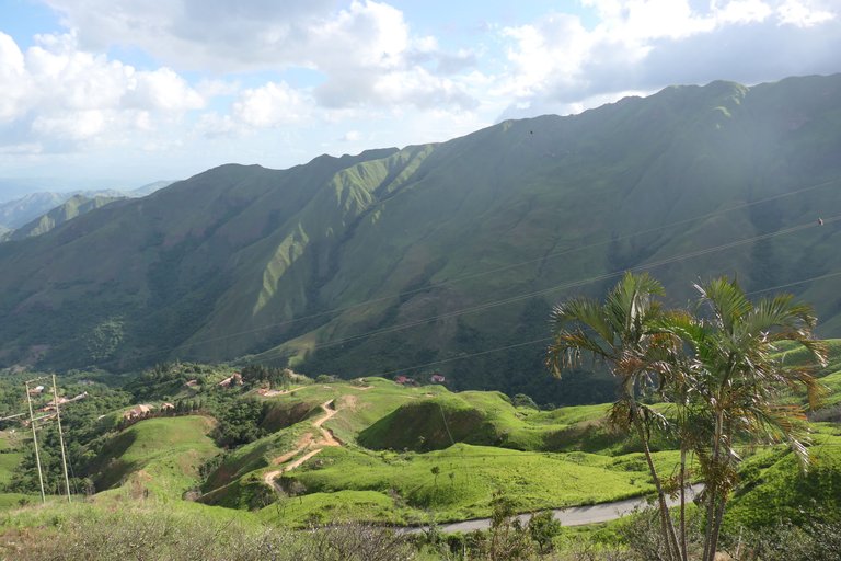 P1011421.JPG