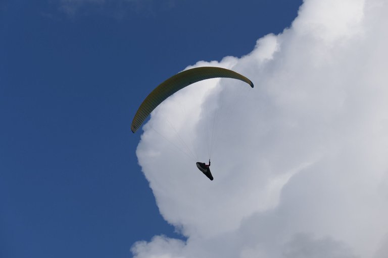 P1011453.JPG