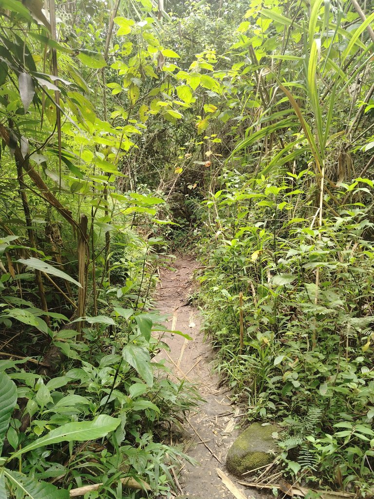 IMG_20250814_122056.jpg