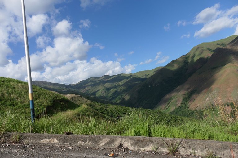 P1011388.JPG