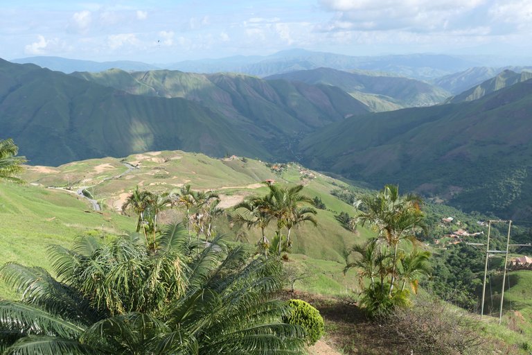 P1011423.JPG