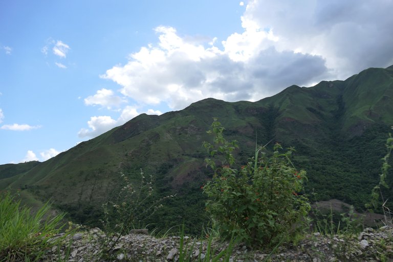 P1011381.JPG