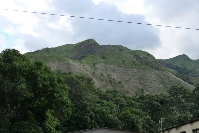 P1011377.JPG