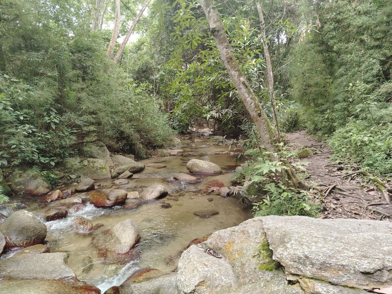 IMG_20250814_121953.jpg