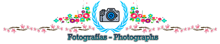 fotografias.png