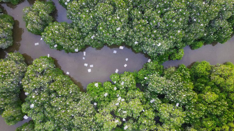 DJI_0163.JPG