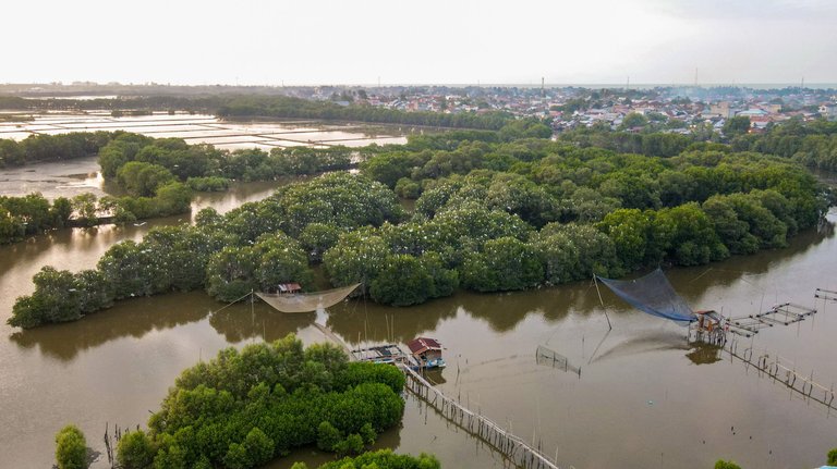 DJI_0158.JPG