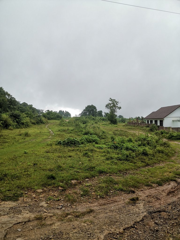IMG_20250727_165647.jpg