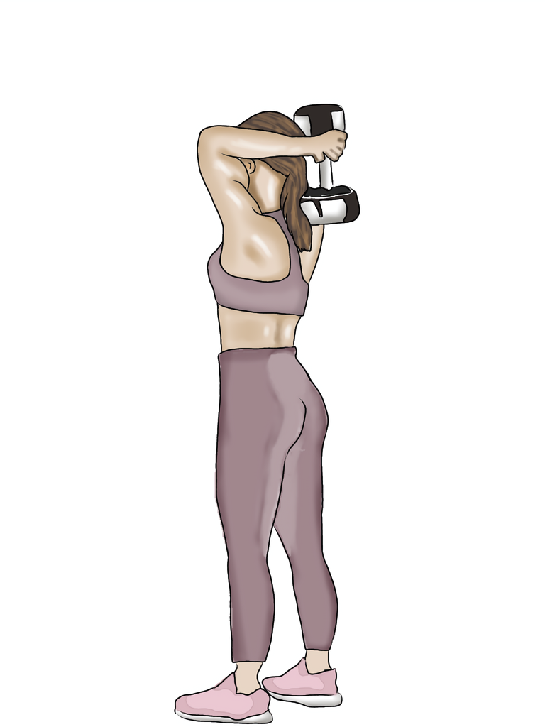 Untitled23 (1).png