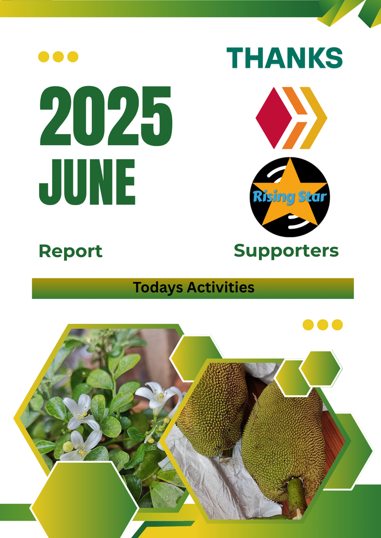 Green Yellow Modern Annual Report_20250702_211547_0000.png