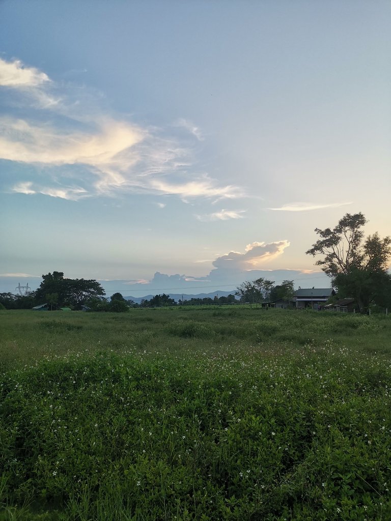 IMG_20250606_183651.jpg