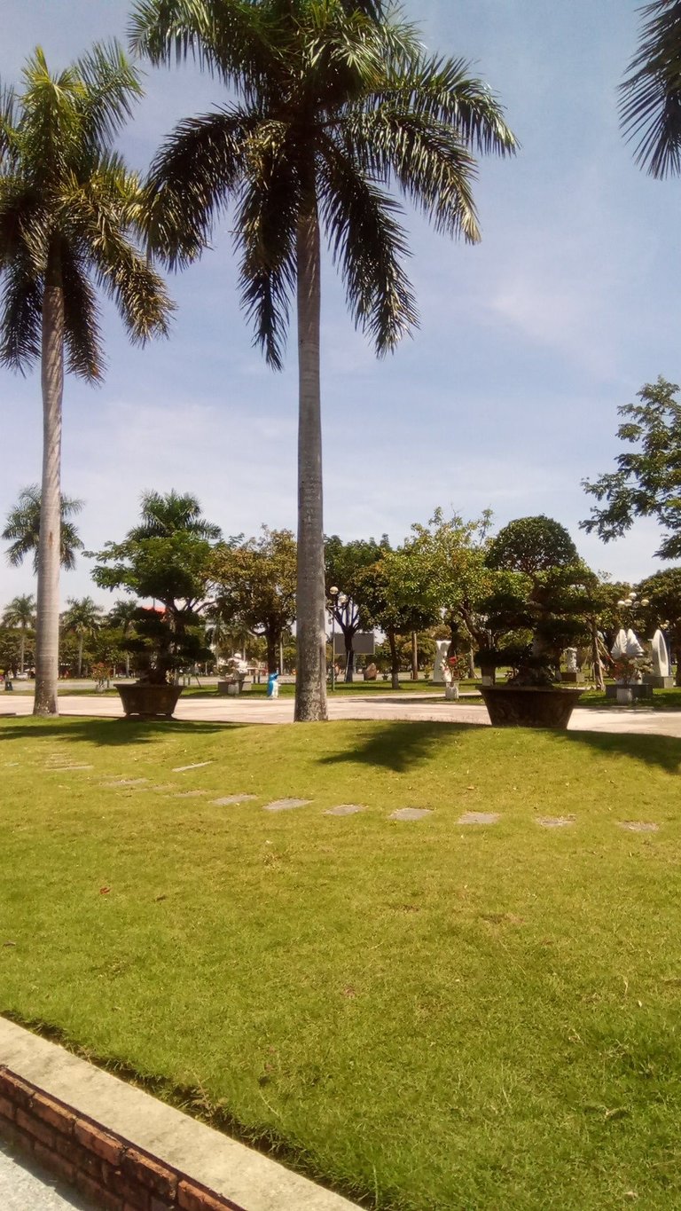 z3706728004384_05588feb6d4b26cc77eaa6bbccba691b.jpg