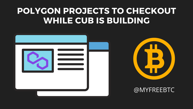 Polygon projects to checkout while CUB is building.png