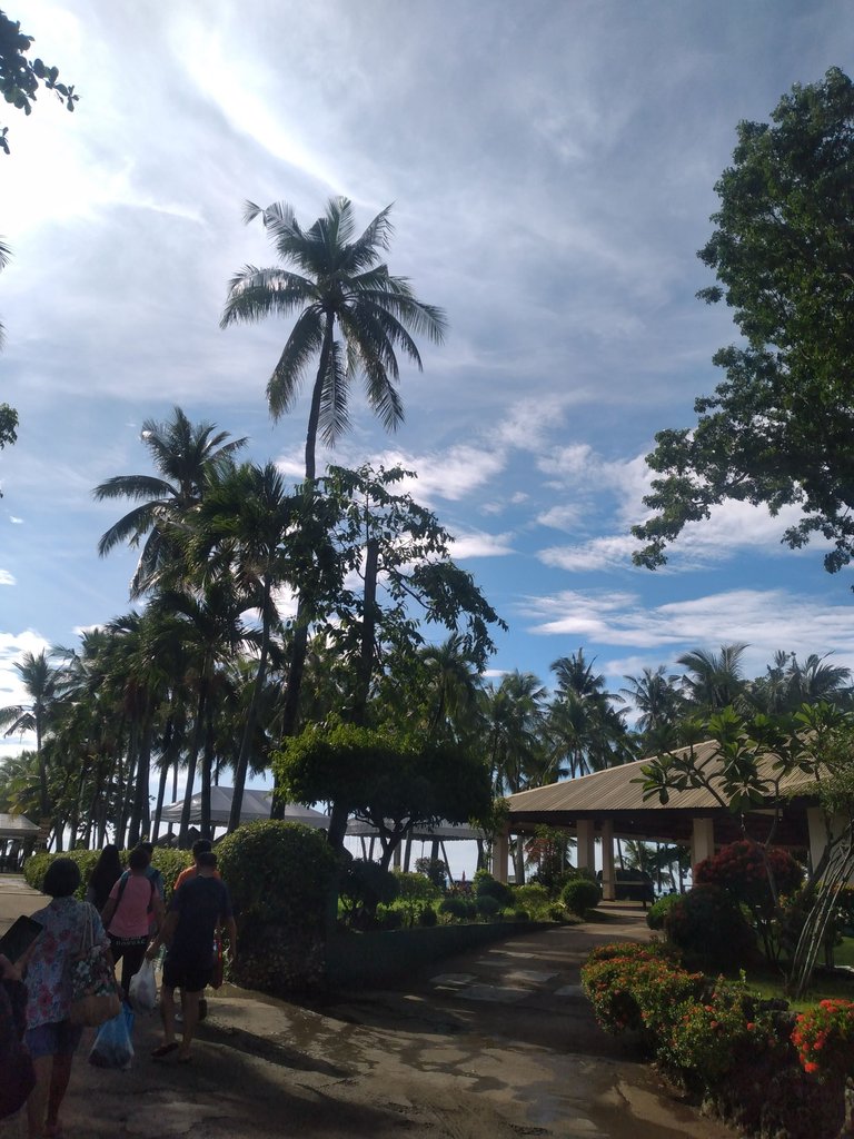 20250615_075219.jpg