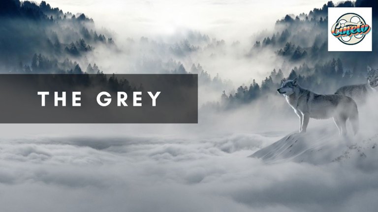The Grey.jpg