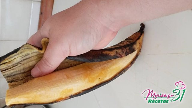 platano.jpg