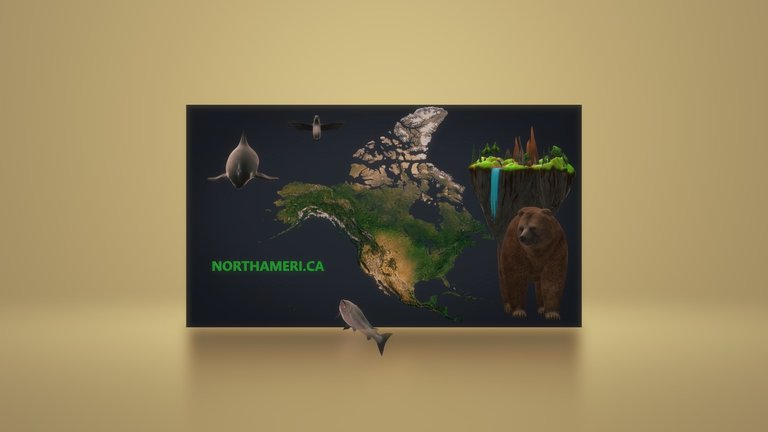 NorthAmeri.ca 3D OFFICIAL NFT.jpg