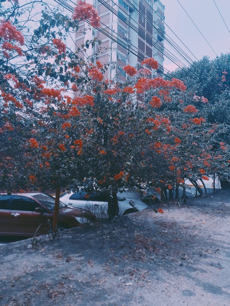 1000144969.jpg