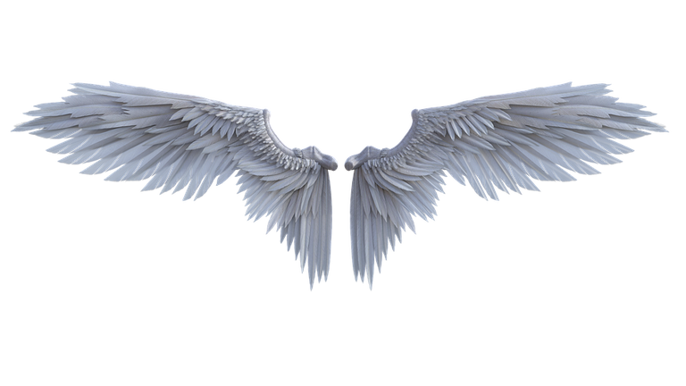 angel-4870050_960_720.png